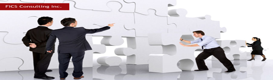 FICS Consulting Inc.